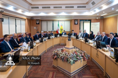 معاون وزیر و مدیرعامل شرکت ملی گاز ایران در آخرین جلسه مجامع عمومی عادی سالیانه؛ همدلی و انسجام میان‌بخشی؛ رمز پایداری در صنعت گاز